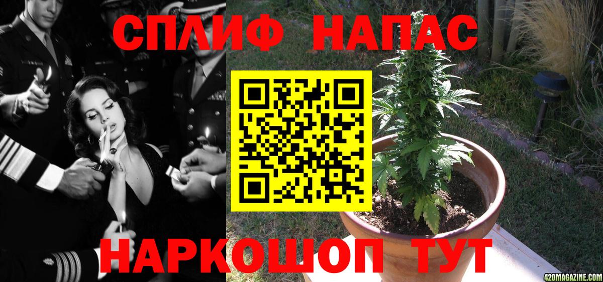 Бошки Шишки гибрид Алексин
